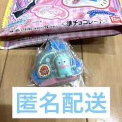 サンリオキャラクターズ　パッケージチャーム　ハンギョドン
