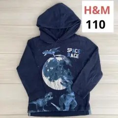 恐竜ロンT 110