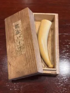 2025年最新】鯨歯 パイプの人気アイテム - メルカリ