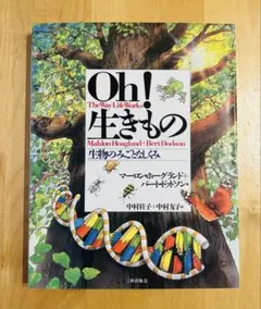 Item thumbnail for item c98a2b9e-d802-413d-8873-07e1b41b855d