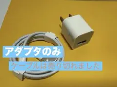 新品未使用　純正　iPhone アダプタ