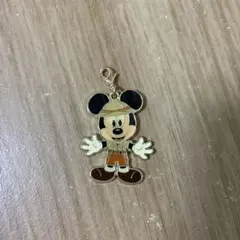 東京ディズニーランド ミッキー チャーム