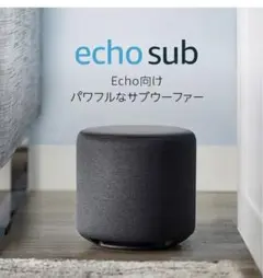 最終値下げ　Echo Sub (エコーサブ) 廃盤 レア商品 2026年最新】echo subの人気アイテム - メルカリ