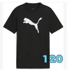 120 プーマ Tシャツ キッズ　黒　半袖　ロゴ　スポーツ　ブラック