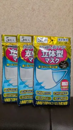 立体型マスク 5枚入 男女兼用