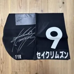 2026年最新】ゼッケン 競馬 サインの人気アイテム - メルカリ