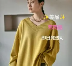 LEPSIM ニット 7ゲージVネックプルオーバー マスタード 美品 完売品