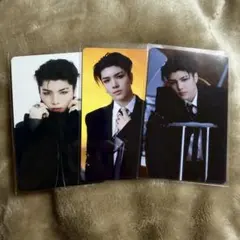 &team MAKI トレカ 月狼 Go in Blind POPUP コンプ