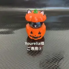 ★Yourelia様ご専用③★