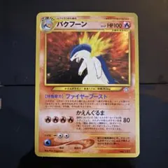 バクフーン_プレミアムファイル PROMO 第1世代 1996~1999 - メルカリ