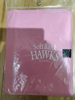 Item thumbnail for item 2516496b-e2d8-4dd2-ad80-c2afe29af9e3