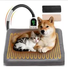 Item thumbnail for item aae93a0e-b2a5-4703-8228-e5a131463409