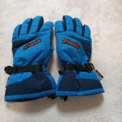 Phenix スキーグローブ 青