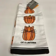 Bewitched Home ハロウィン　キッチンタオル