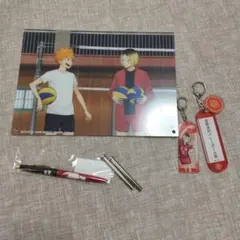 ハイキュー孤爪研磨日向翔陽アクキーアクリル板ペン　おまけ付き