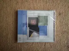 Bee and The Whales Galileo Galilei