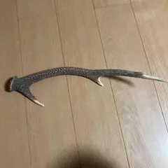 鹿の角 約45cm