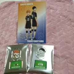 ハイキュー!!プラザ ミニアクリルスタンド 日向 東峰