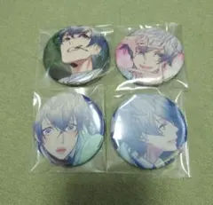 星屑ヘリオグラフ 天地理音 等身 缶バッジ4個セット