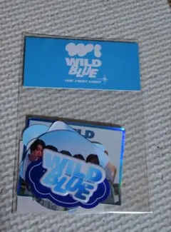 2026年最新】WiLD blue ペンライトの人気アイテム - メルカリ