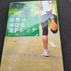 世界一伸びるストレッチ