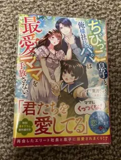ベリーズ文庫