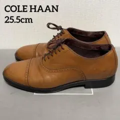 COLE HAAN ビジネスシューズ ウォータープルーフ 25.5cm 71/2