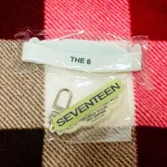 SEVENTEEN セブチ THE8 ディエイト