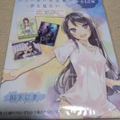 青春ブタ野郎 シリーズ 公式イラストブック PAINTING2 - メルカリ