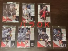 バレーボール男子日本代表 ツインウエハース2026