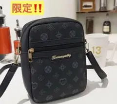 初夏セール‼️レディースショルダーバッグ ブラック