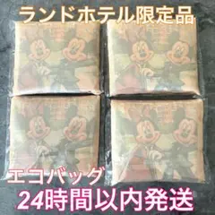 ♦︎限定品♦︎Disneyland Hotel 限定エコバッグ　Disney レア