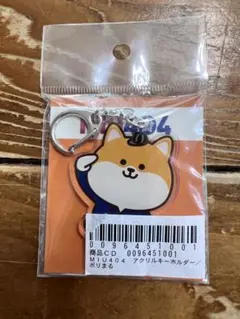 MIU404ポリまるくんキーホルダー MIU404 ポリまる マスコットキーホルダー ぬいぐるみ 星野源 綾野剛