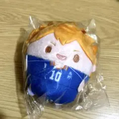 ハイキュー!! ぬいくじ　日向翔陽　D賞