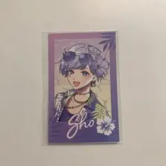 いれいす　初兎　チェキ風トレカ