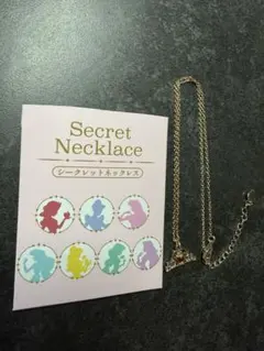 ディズニーSecret Necklace シークレットネックレス