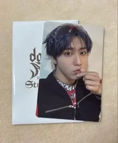 straykids スキズ dominATE エコパ 特典 トレカ ハン