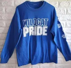 ＊【メーカー不明】長袖Tシャツ【メンズL相当】ブルー