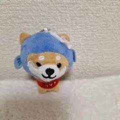 旅するマメしば　静岡限定