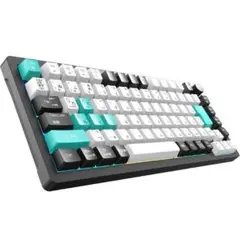 ゲーミングキーボード2025年業界初日本語JIS配列かな印字一体化75 %