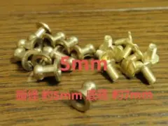 真鍮製 ギボシ ネジ式（5ｍｍ）10個セット ゴールド