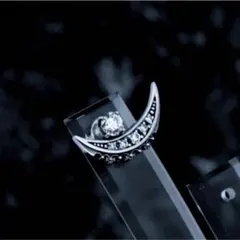 美品!ジャスティンデイビス SEJ349 DEVOTION ピアス - メルカリ
