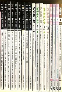 ドル誌 2020年〜2022年 まとめ売り 18冊　雑誌