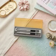 セーラー ボールペン ペンセット ケース付き 文房具 ヴィンテージ