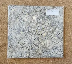 リバティ 生地 アデラジャ Adelajda J13A 1.2m