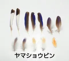 Item thumbnail for item 50ebd84f-a649-4a6f-9b1e-f5250f7d2fa8