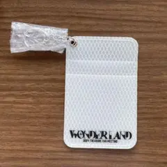 WONDERLAND 2024 TREASURE ファンミ プレシ特典