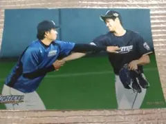 大谷翔平 2017 ハイライトフォト ㉓ 日本ハム 球団公式写真 白村明弘
