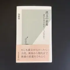 漢文の素養 : 誰が日本文化をつくったのか?