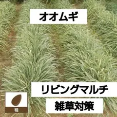 あまちゃん様 リクエスト 2点 まとめ商品